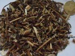 �в�ҩһ���� �в�ҩһ������÷�����