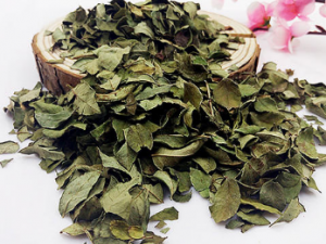 �в�ҩ����Ҷ �в�ҩ����Ҷ�Ĺ�Ч������