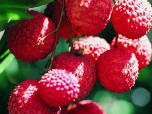 粻ͨʲô 粻ͨҽʳƫ