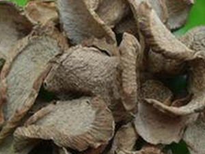 �����ȵĹ�Ч������ �������������˻������ư�֢