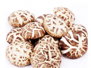 ��������Щ���� ��������Щʳ�÷���