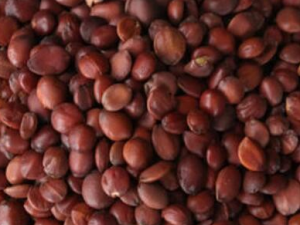 �����ʵĹ�Ч������ �����ʵĸ�����