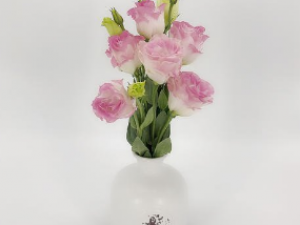 ҰٺϷ۵ĹЧ ҰٺϷۿԵɫӻ˥