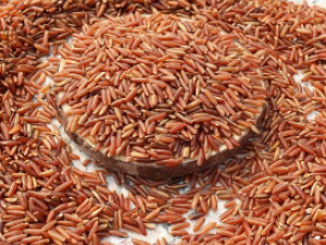 ����׵Ĺ�Ч������ ����׵Ľ���