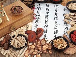 ���������Ԥ�� �������ճ���������