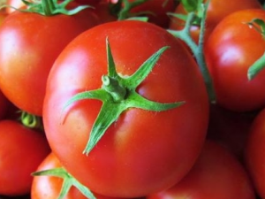 �������������µ�ԭ�� �������������µ�֢״