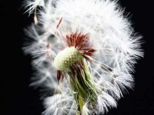 ������������Ȧ�ͻ���� ��ҽ��ΰ����������Ȧ��