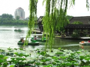 �����ʲô�� ��������Ҫע��ʲô