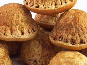 ��Ѫ���������ʲôΣ�� ��Ѫ�����ԭ��