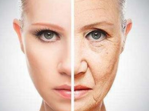 ������ߵĹ�Ч ����ô������