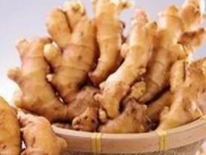 ��ҽ��ð��ʳ�Ʒ��Ƽ� ��ð��������Ŷ