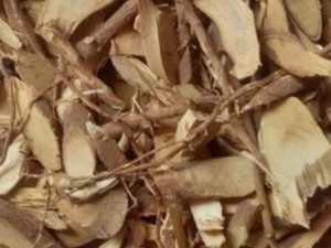 �˽Ƿ��ݾƵ����� �˽Ƿ���ݾ�����������ķ�ʪ��ʹ