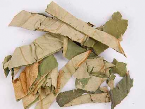 ����Ƥ����Ӹɢ�� ����Ƥ�Ĺ�Ч����������Щ