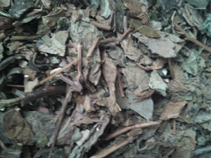 �ǳݹ�����Ӧ������� �ǳݹ����׵�����ƫ��