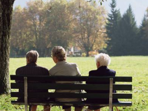 ����������������ʳ���Ƽ�