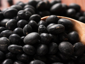 ������������ ��Щ�����ǲ���ȡ����