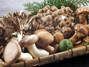 ��ʪ�ر�13��ʳ�� ��֪��������Щ��