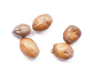 ������������Щ����ƫ��