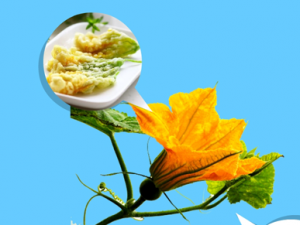 �з�̵����ô�� ��ҽ����Щ����ƫ��