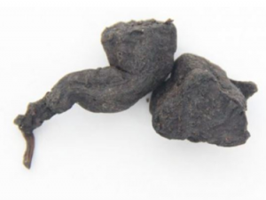 ���������ķ�������Щ ��ҽ��ΰ�������������