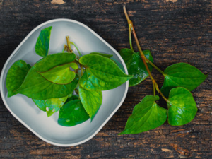 �Ƕݲݿ����Ƚⶾ�Լ�ɢ������ �Ƕݲݵ�ҩ������