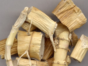 έ�����ٴ�Ӧ�� έ����ҩ������