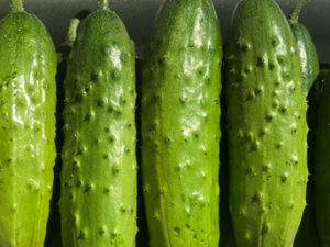 ����ʳ�����а� �����׵����ѿ�����