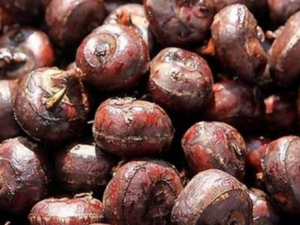 ��ǵĹ�Ч���� ���������ͨ��ֹ�ʵ�����