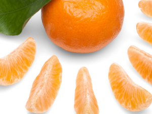 ಻ָ׻ʲô δָ׿༲