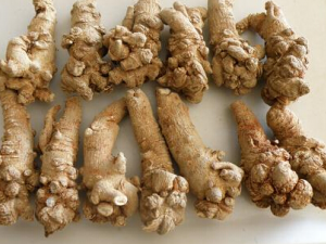 ��������ô�� ����������ҽ����ƫ��