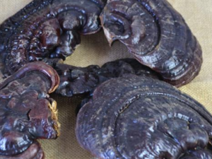 ��֥�Ĺ�Ч���� ��֥�ܲ���ǿ��������θ