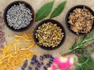 �ճ�ȥ��ͷ�Ļ������� ��֪����