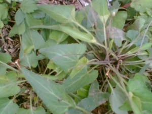 �߽߱�����Щ��Ч �߽߱��η��ȿ���