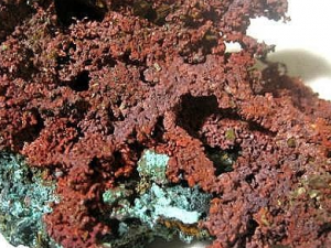 ��Ȼͭ�Ĺ�Ч���� ��Ȼͭ��ɢ��ֹʹ�Ĺ�Ч