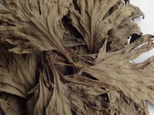 ʲô�Ŷ�������ѧ ����Ŷ���������