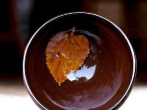 ����ľҶ�Ĺ�Ч���� ����ľҶ���Ƚⶾ������