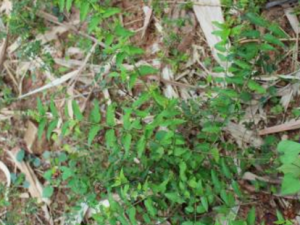 Ť���ٵĹ�Ч���� Ť��������ʪ�ȶ�ʹ