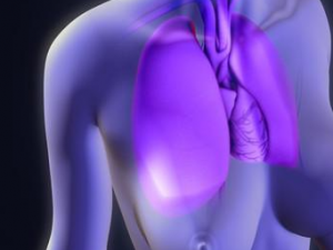 ������������ô����� �����������������