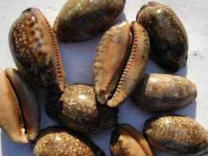 �ϱ��Ĺ�Ч���� �ϱ����ȶ�Ŀ��С��������Ŀ