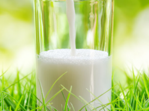 ˯߲õԭЩ ˯߲ҪעЩʳ