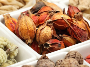 �������Ӻ��� ������������Щ����