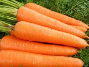 ���ܲ�������ҩ��ҩЧ������