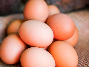 �ü������̴�ƫ������ �����̴�����������