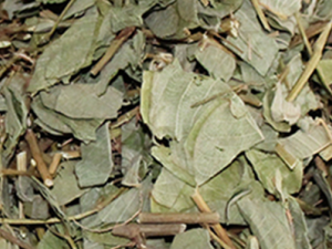 ����ǰ�����׵���ҩ����Щ