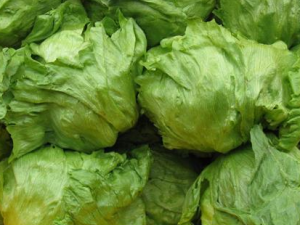 ���˵���ѡ���� �����ѡ���ʵ�����