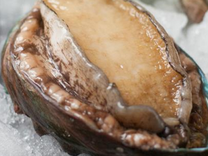 �����ѡ���ʱ��� ʲô���ı������