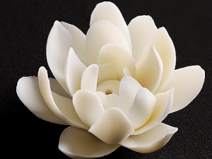 ̴��������Щ��Ч���� ̴�������θ�θ������в��ʹ