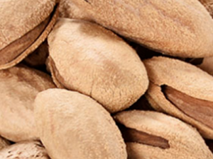 �͵����ʵĹ�Ч���� �͵����������Ϳ����ĸ�����