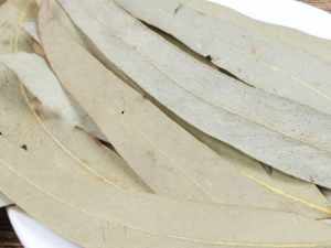 ��Ҷ��Ҷ�Ĺ�Ч���� ��Ҷ��Ҷ��С��ͷ������