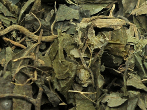 ���ز�Ĺ�Ч���� ���ز����ڿ���̵�д�Ѫ